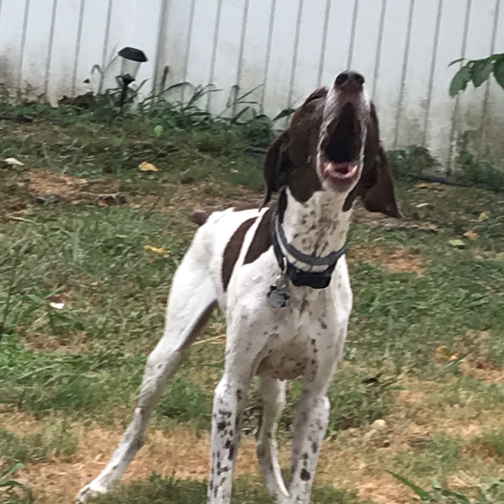 Meet your Posher, Catherine